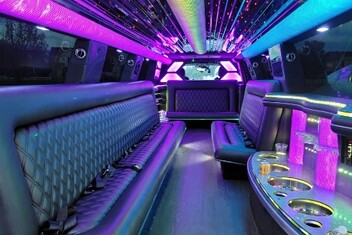Arlington Heights Limo Interior